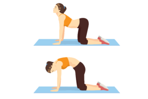 EJERCICIO PARA PARTE ALTA DE LA ESPALDA